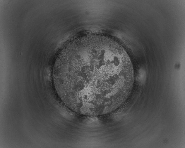 X0000091510715200708241629