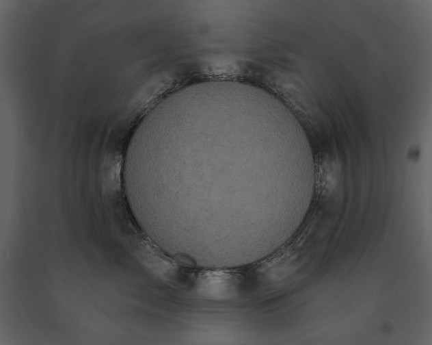 X0000091510717200708241629