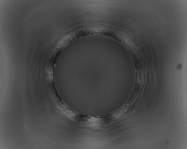 X0000091510718200708241629