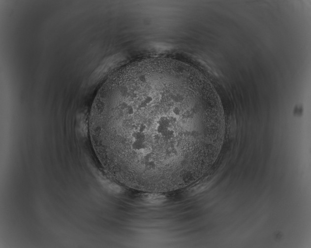 X0000091510719200708241629