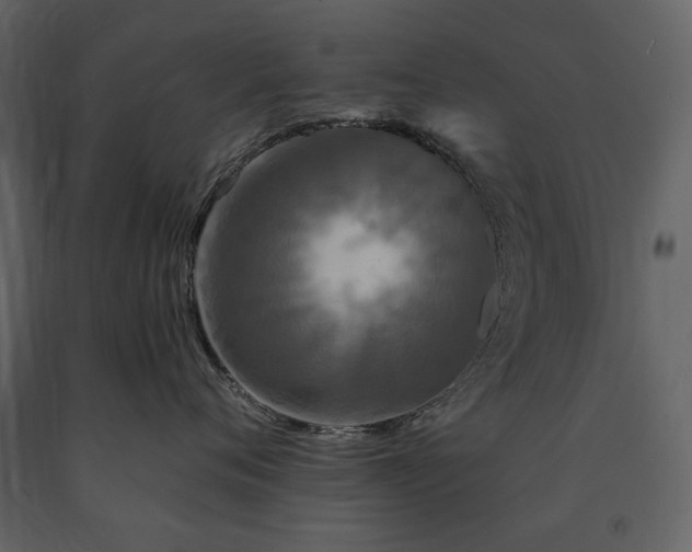 X0000091510720200708241629