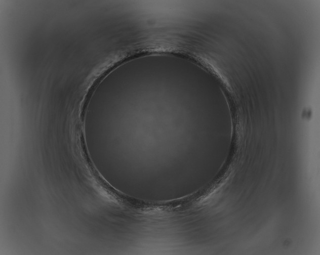 X0000091510721200708241628