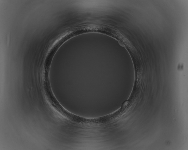 X0000091510722200708241628