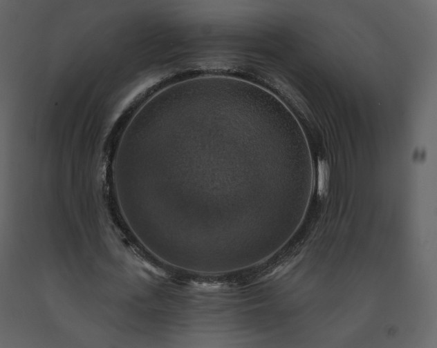 X0000091510723200708241628