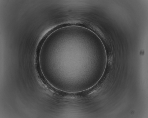 X0000091510724200708241628