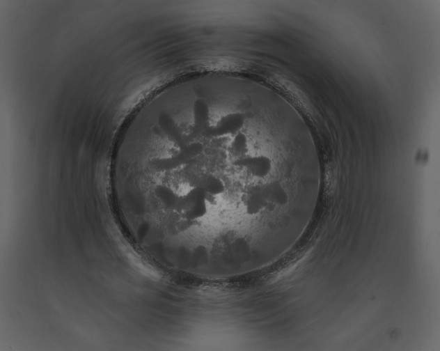 X0000091510725200708241628