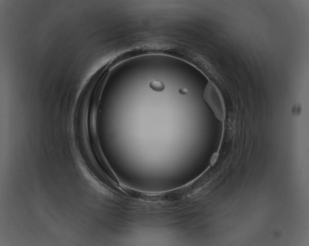 X0000091510726200708241628