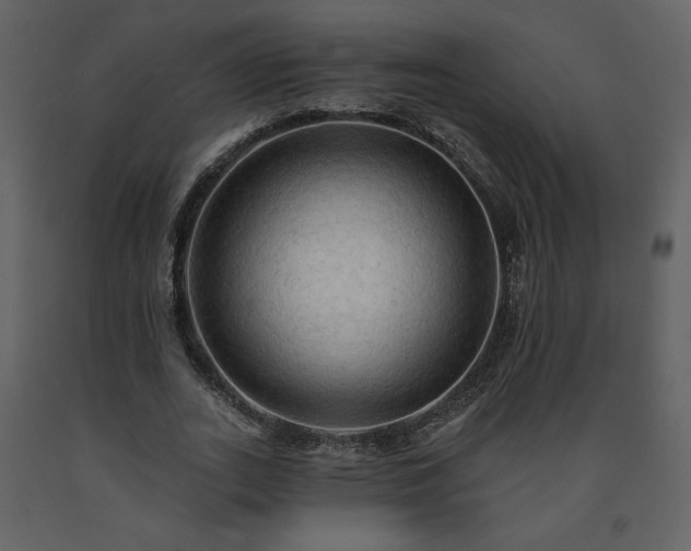 X0000091510727200708241628