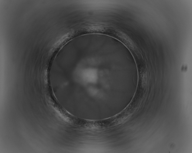 X0000091510729200708241628