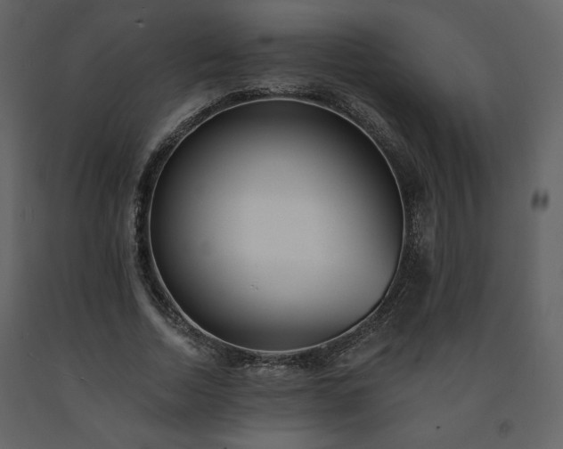 X0000091510730200708241628