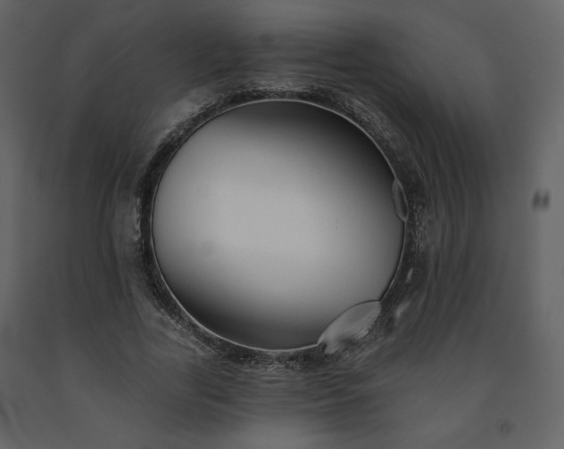 X0000091510731200708241628