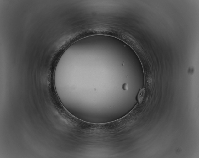 X0000091510732200708241628