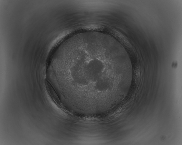 X0000091510734200708241628