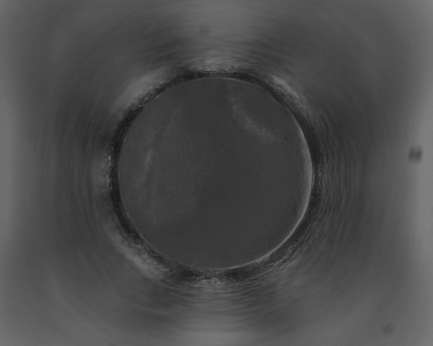 X0000091510735200708241628