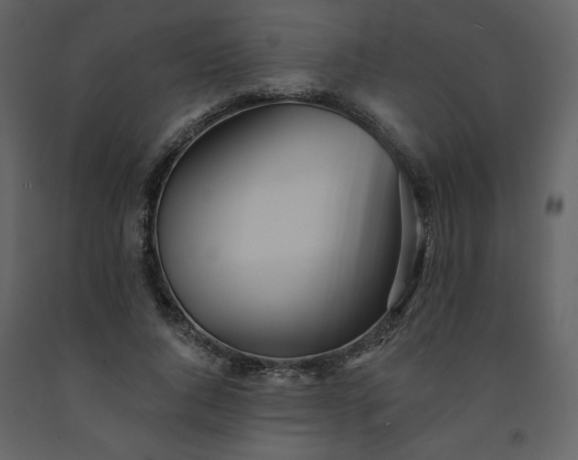 X0000091510736200708241628