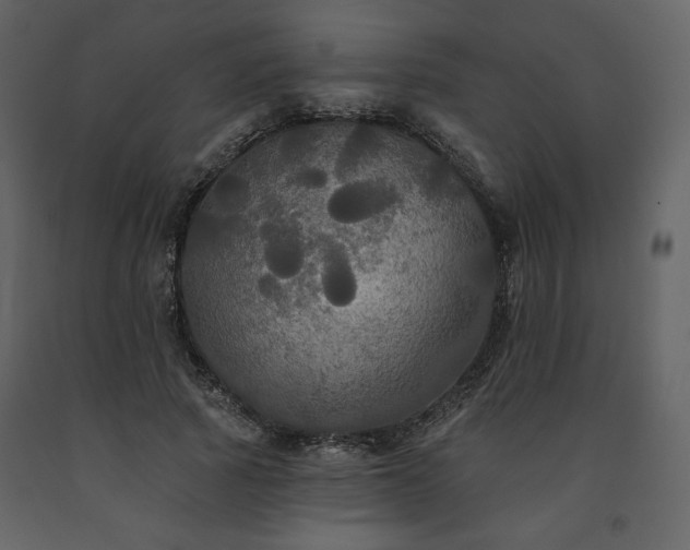 X0000091510737200708241628