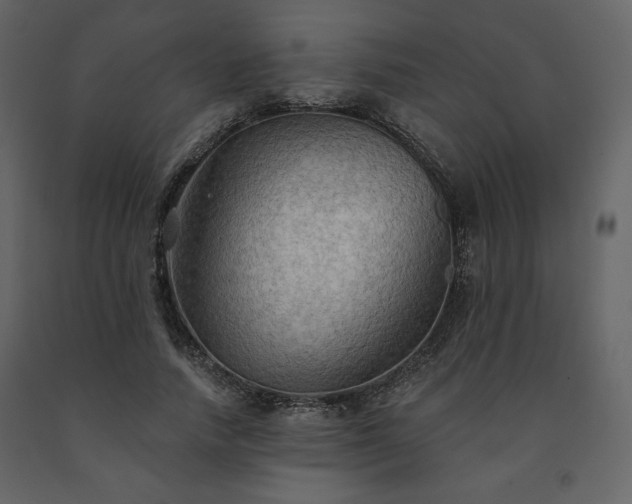 X0000091510738200708241628