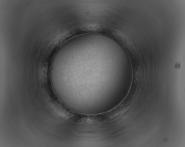 X0000091510739200708241628