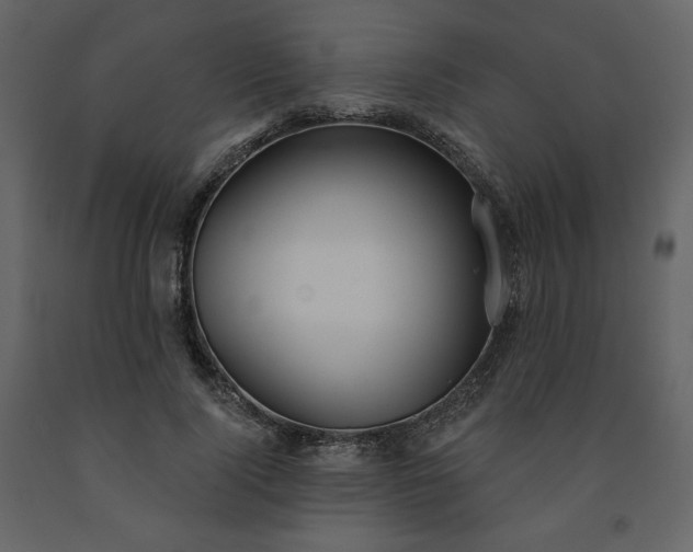 X0000091510740200708241628