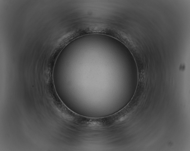 X0000091510741200708241628