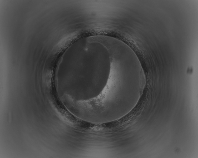 X0000091510742200708241629