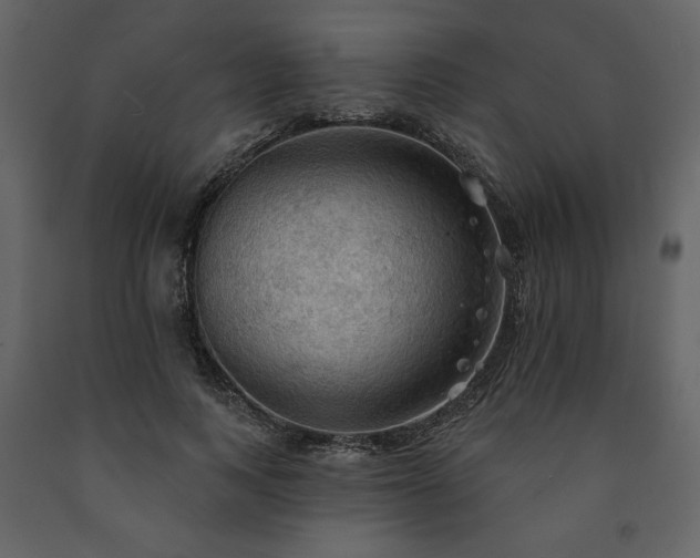 X0000091510743200708241629