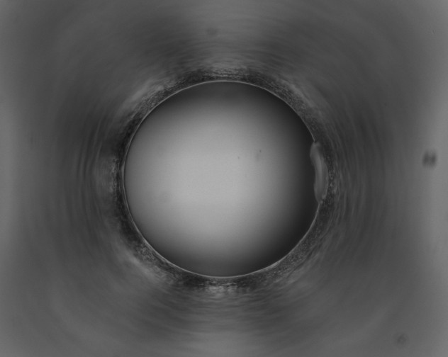 X0000091510744200708241629