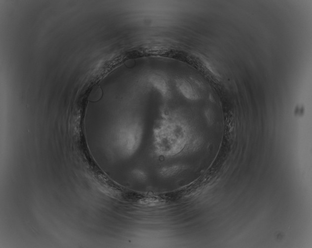 X0000091510745200708241629