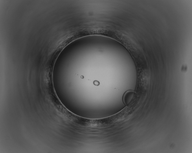 X0000091510746200708241629