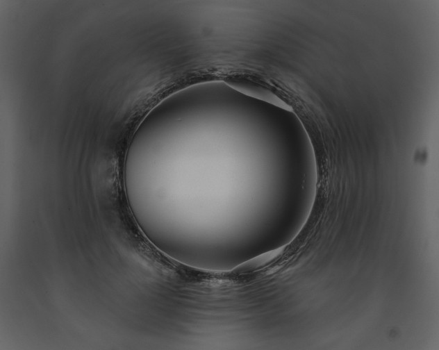 X0000091510748200708241629