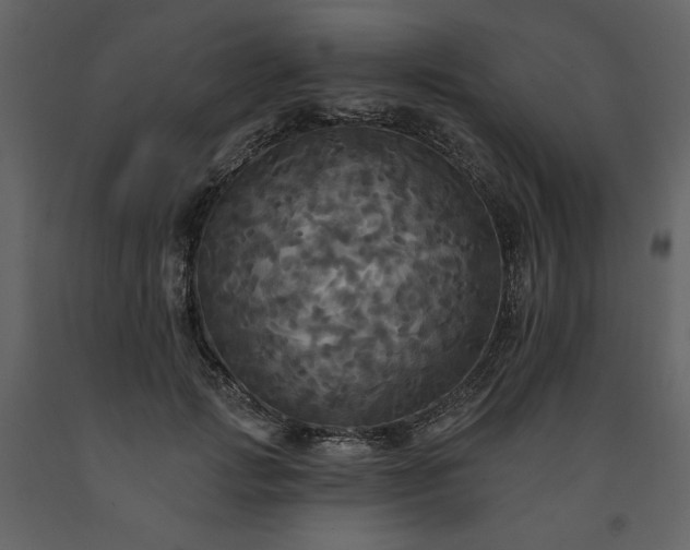 X0000091510749200708241629