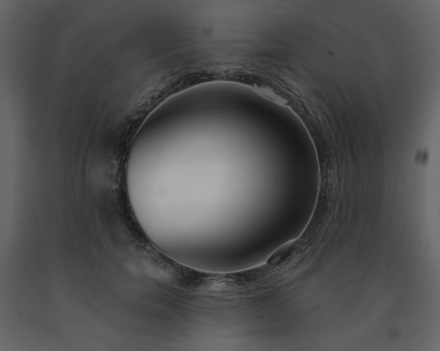 X0000091510750200708241629