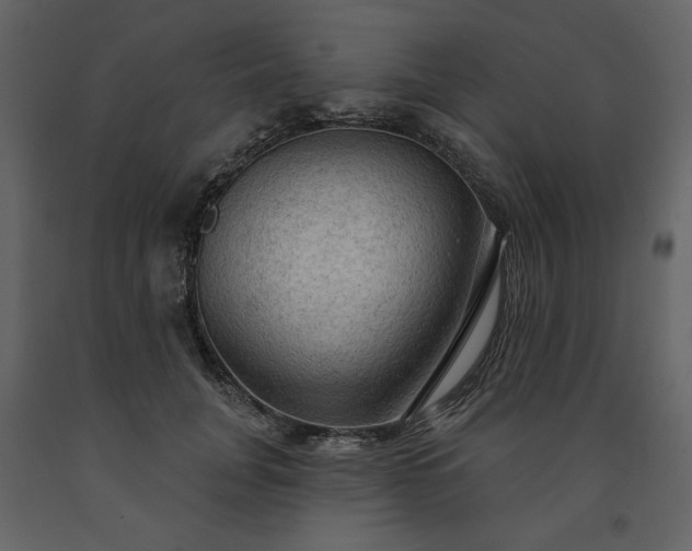 X0000091510751200708241629