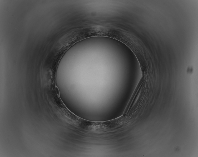 X0000091510752200708241629