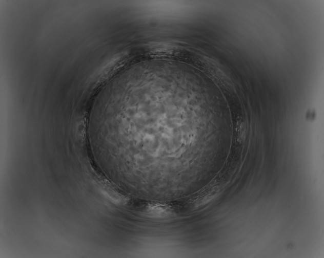 X0000091510753200708241629