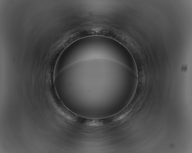 X0000091510754200708241629