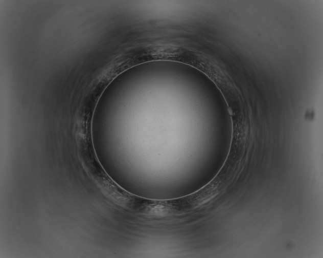 X0000091510755200708241629