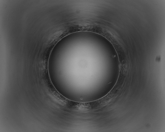 X0000091510756200708241629