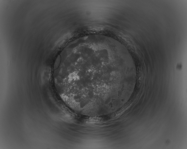 X0000091510758200708241629