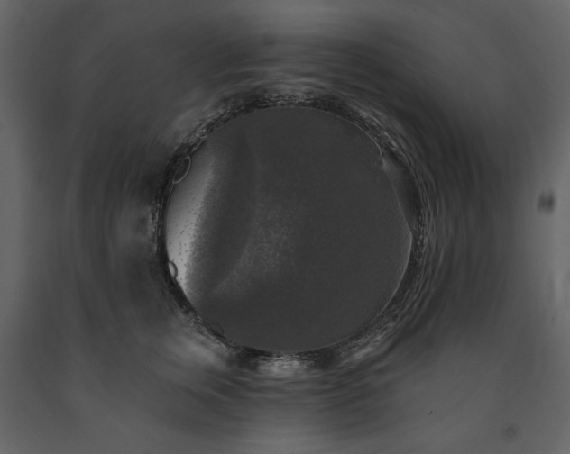 X0000091510759200708241629