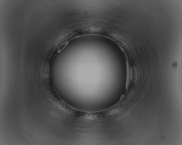 X0000091510760200708241629