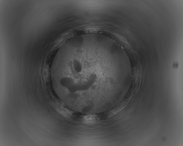 X0000091510761200708241629