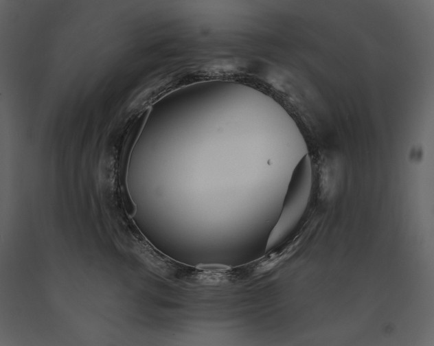 X0000091510762200708241629