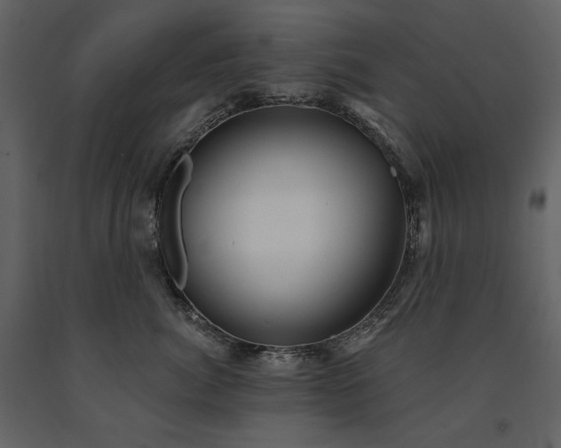 X0000091510764200708241629