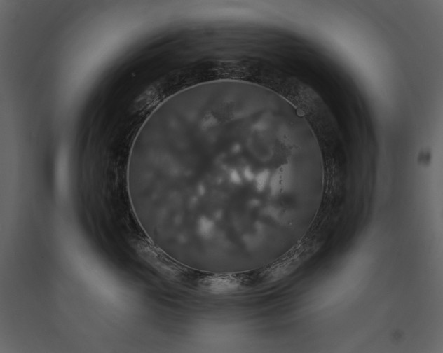 X0000091510765200708241629