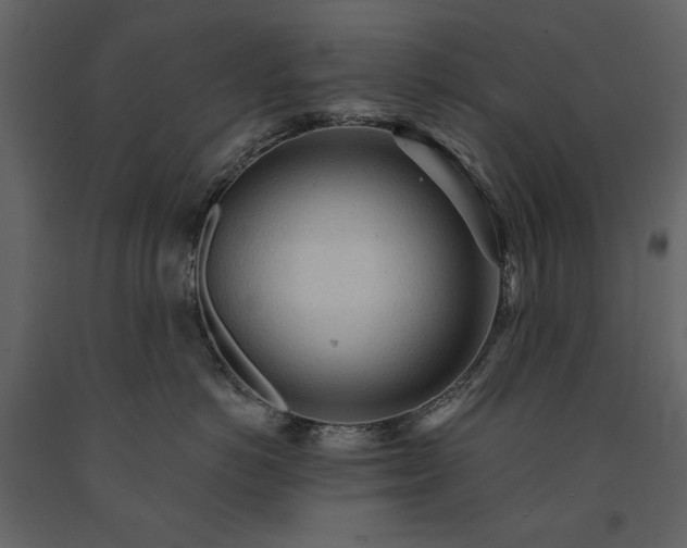 X0000091510766200708241629