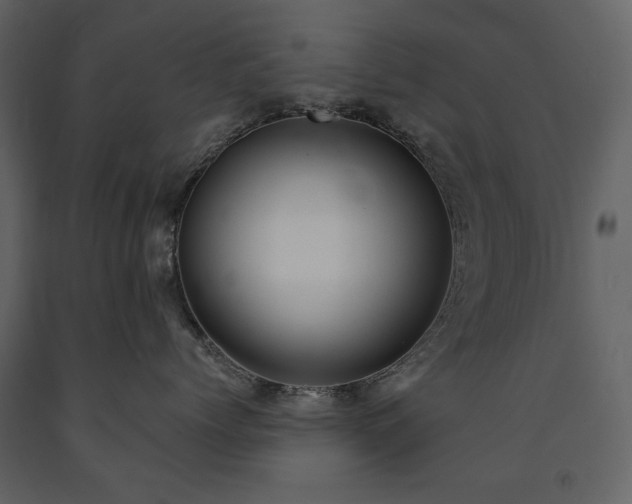 X0000091510768200708241629