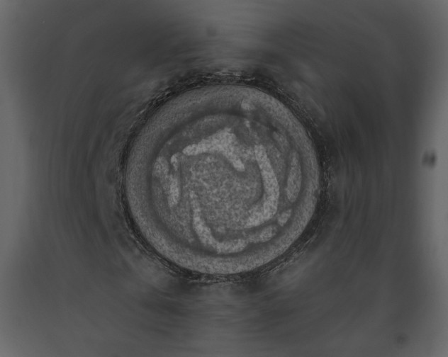 X0000091510769200708241628