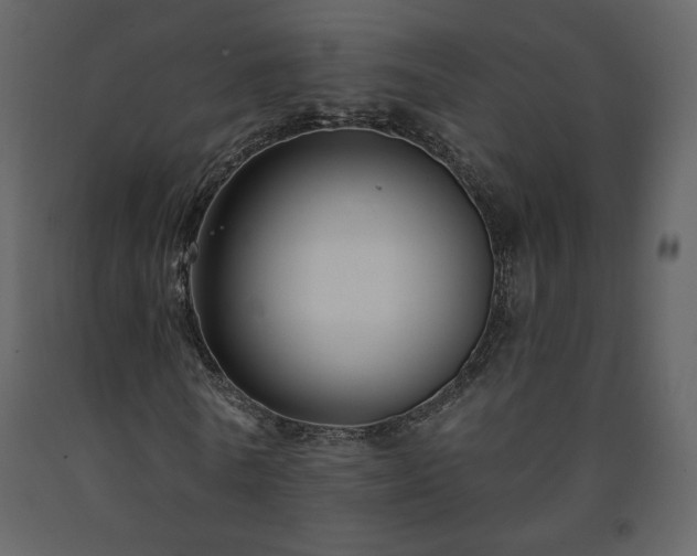 X0000091510770200708241628