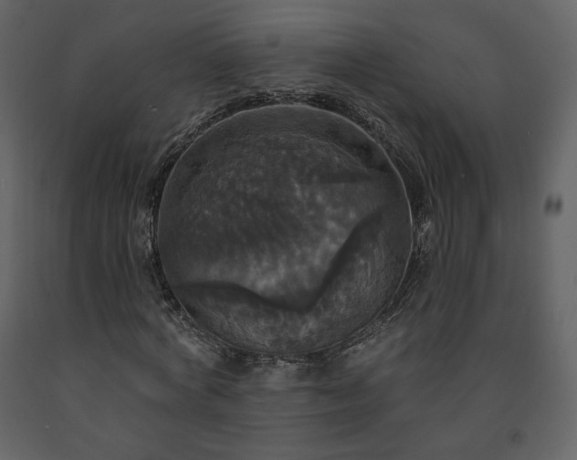 X0000091510772200708241628